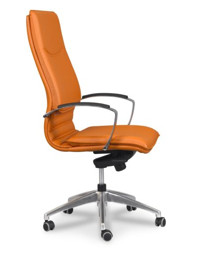 Sillón Dirección Thor 1