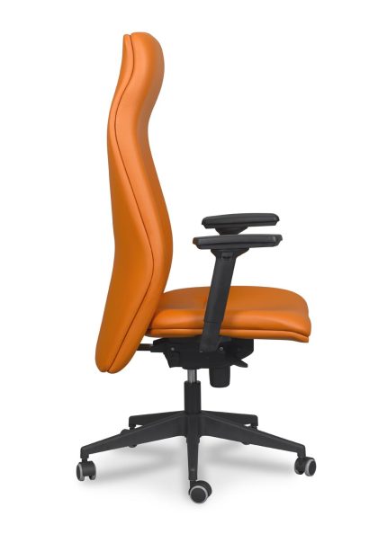 Sillón Dirección Zeus 1